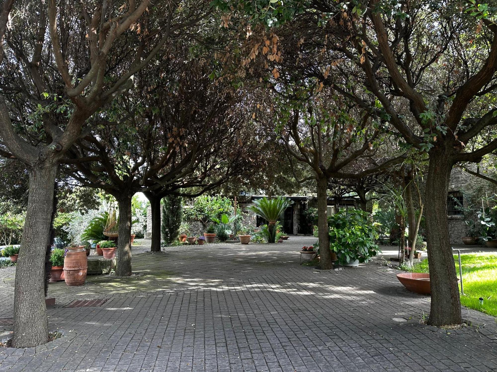 Апартаменты Borgo De' Paolis Гроттаферрата Экстерьер фото
